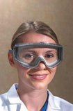 Uvex Stealth Safety Goggles With Clear Hydroshield Anti-Fog Lens, Grey Body & Ne